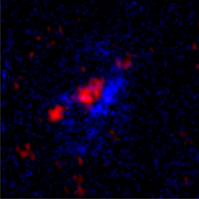 Galaksi debu pembentuk bintang DSFG850.95. Kredit: Patrick Drew (UT Austin)/STScI/ALMA